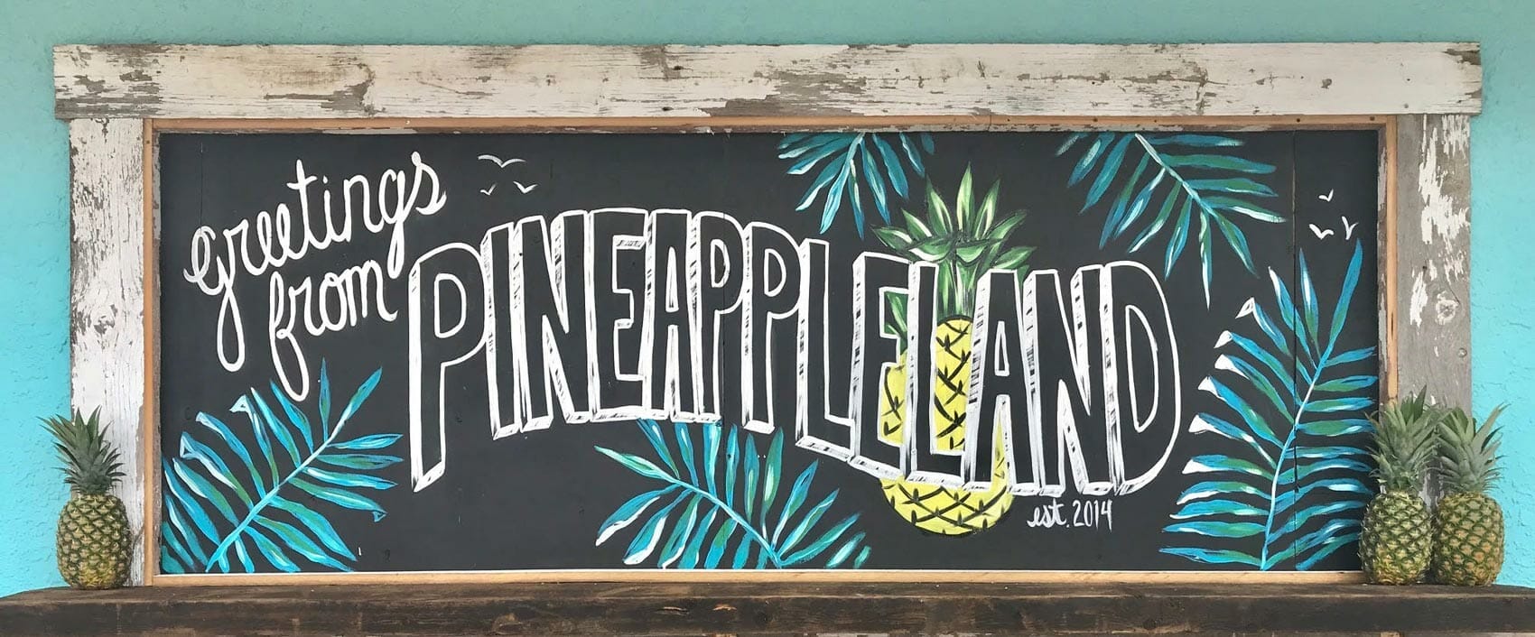 Pineappleland 2.0 – Playa Bowls Launches New Website & Brand Refresh