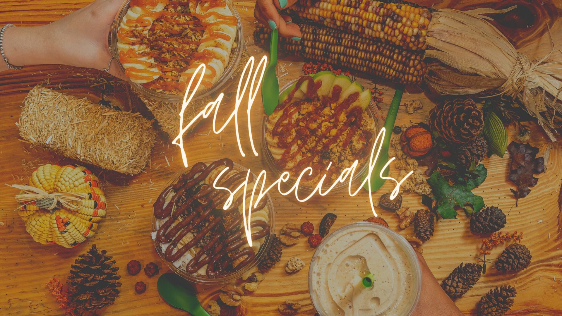 Fall Specials Are Back!