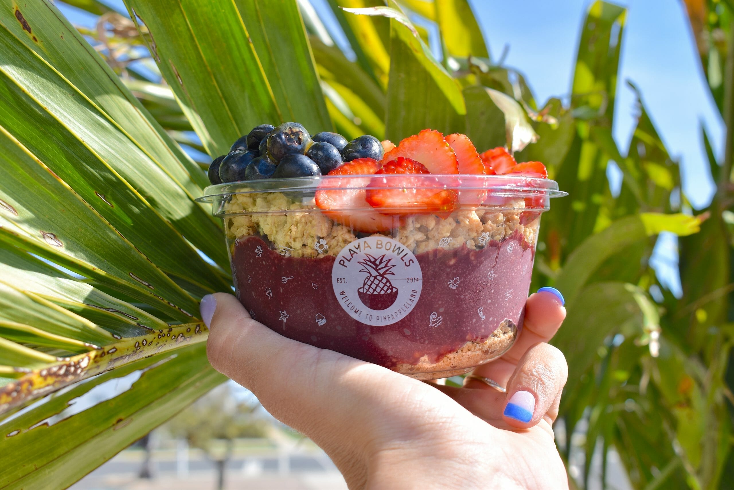 acai photo